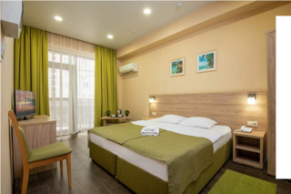 Гостиница Пеликан Краснодар Номер стандарт с 1 двуспальной кроватью-1